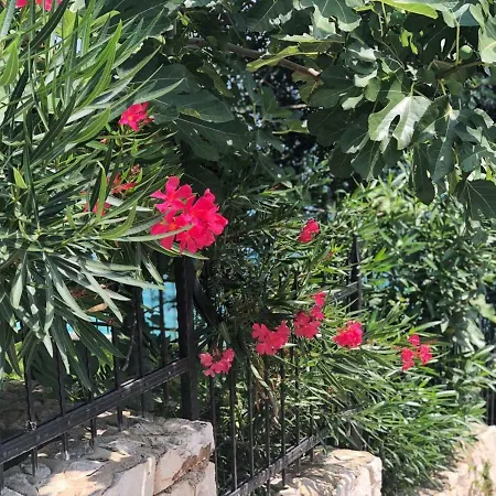 Apartment Tandara Trogir