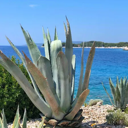 Tandara Apartment Trogir